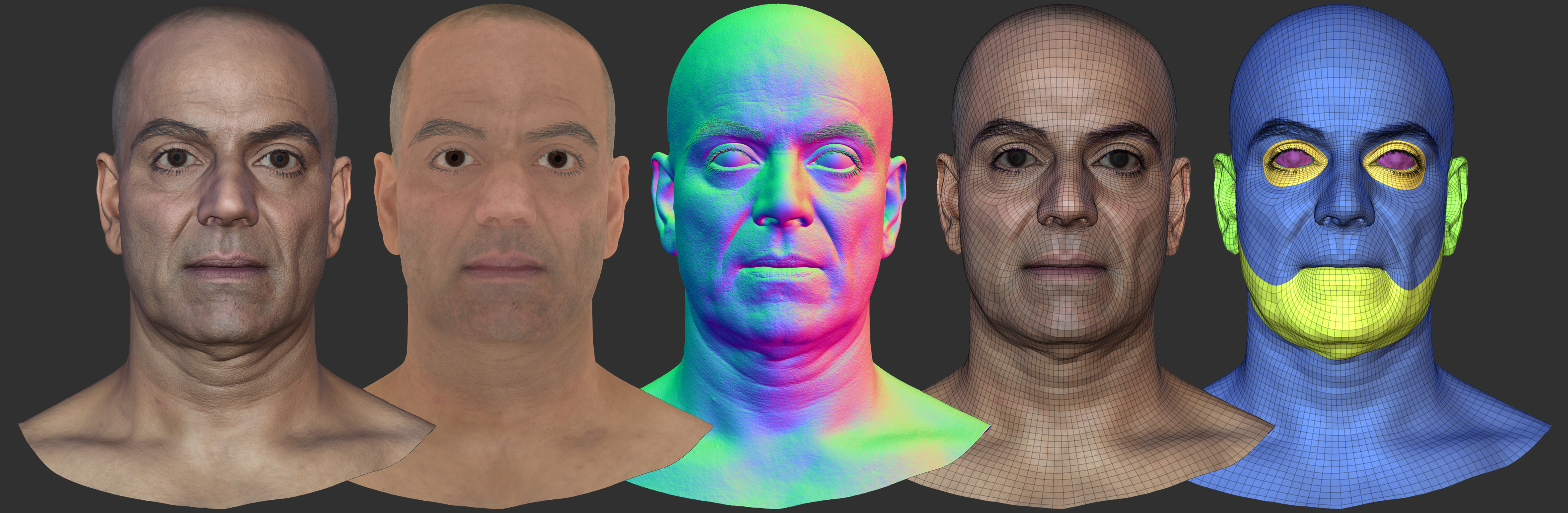 download zbrush human face texture maps 